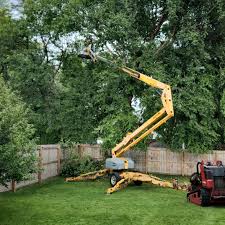 Grass Overseeding in Simpsonville, KY