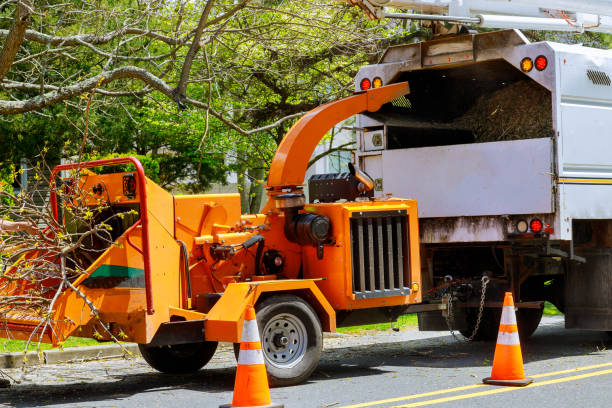 Best Root Management and Removal  in Simpsonville, KY