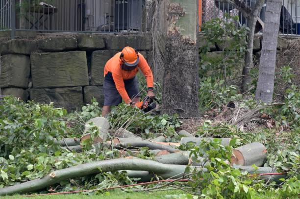 Best Utility Line Clearance  in Simpsonville, KY